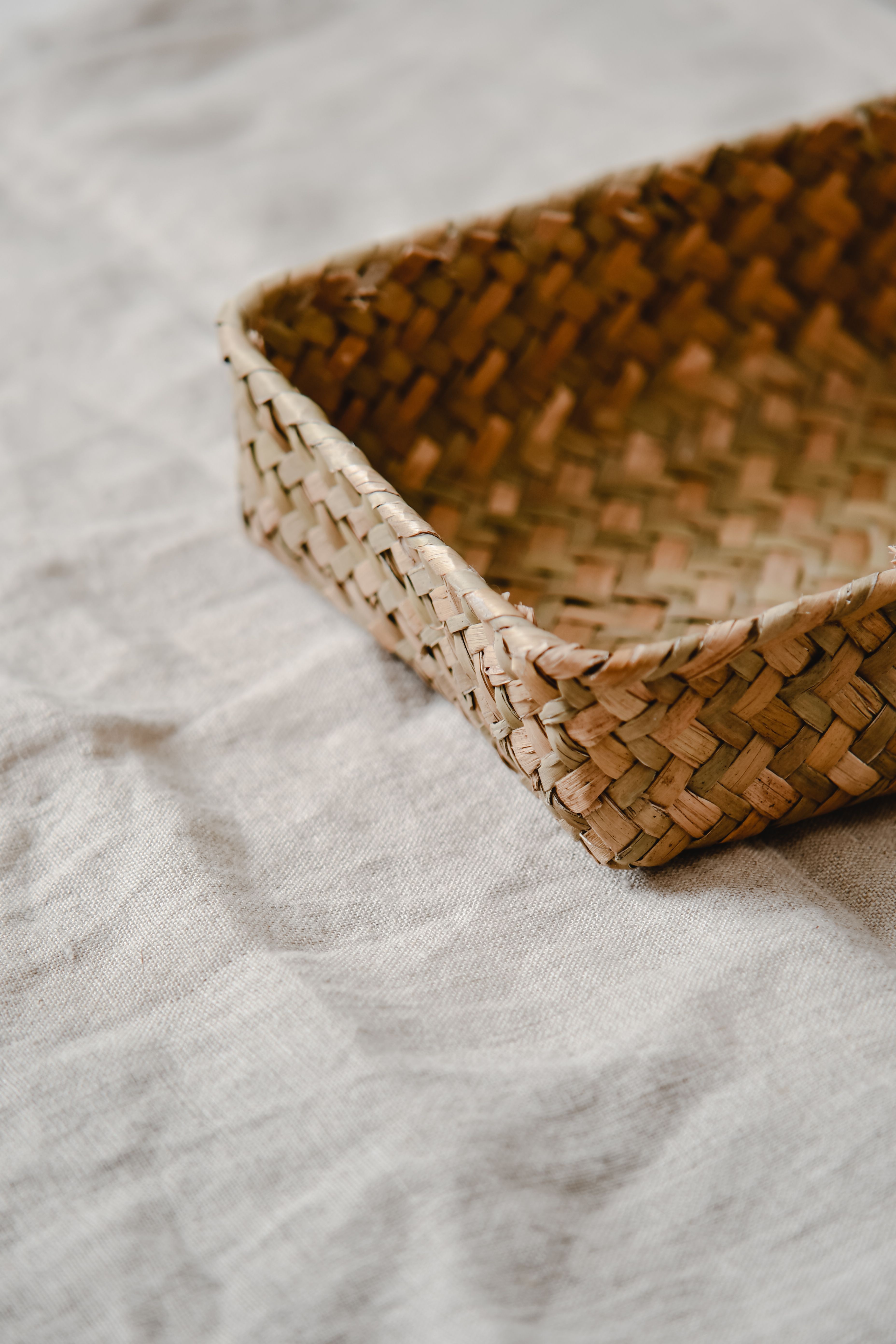 Les Fibres tissées